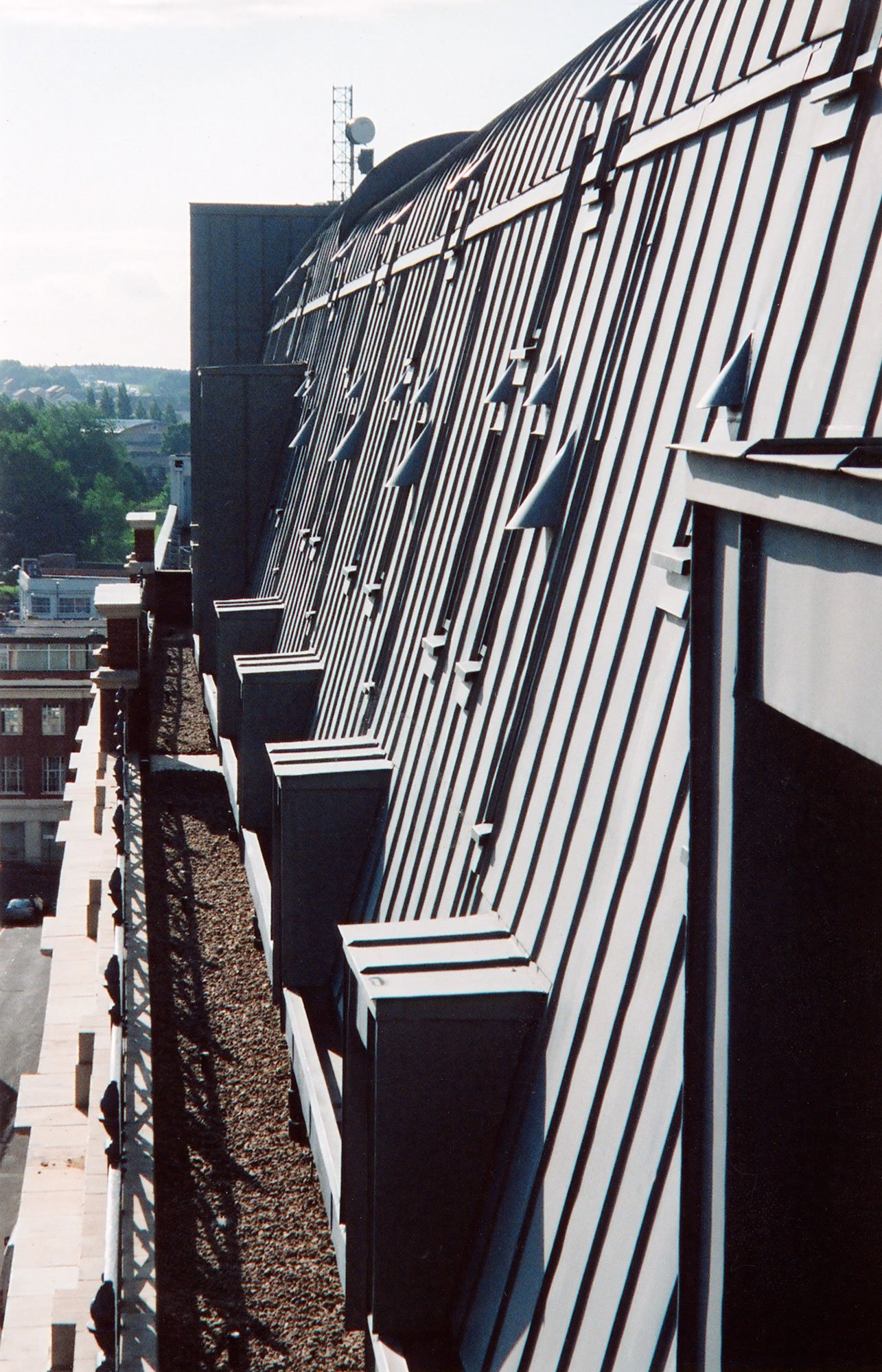 0007_Photo_zinc-detail2