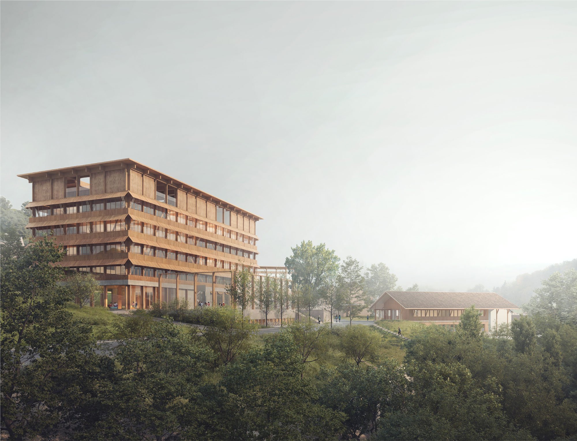 5_0305-Leimbach_pic1