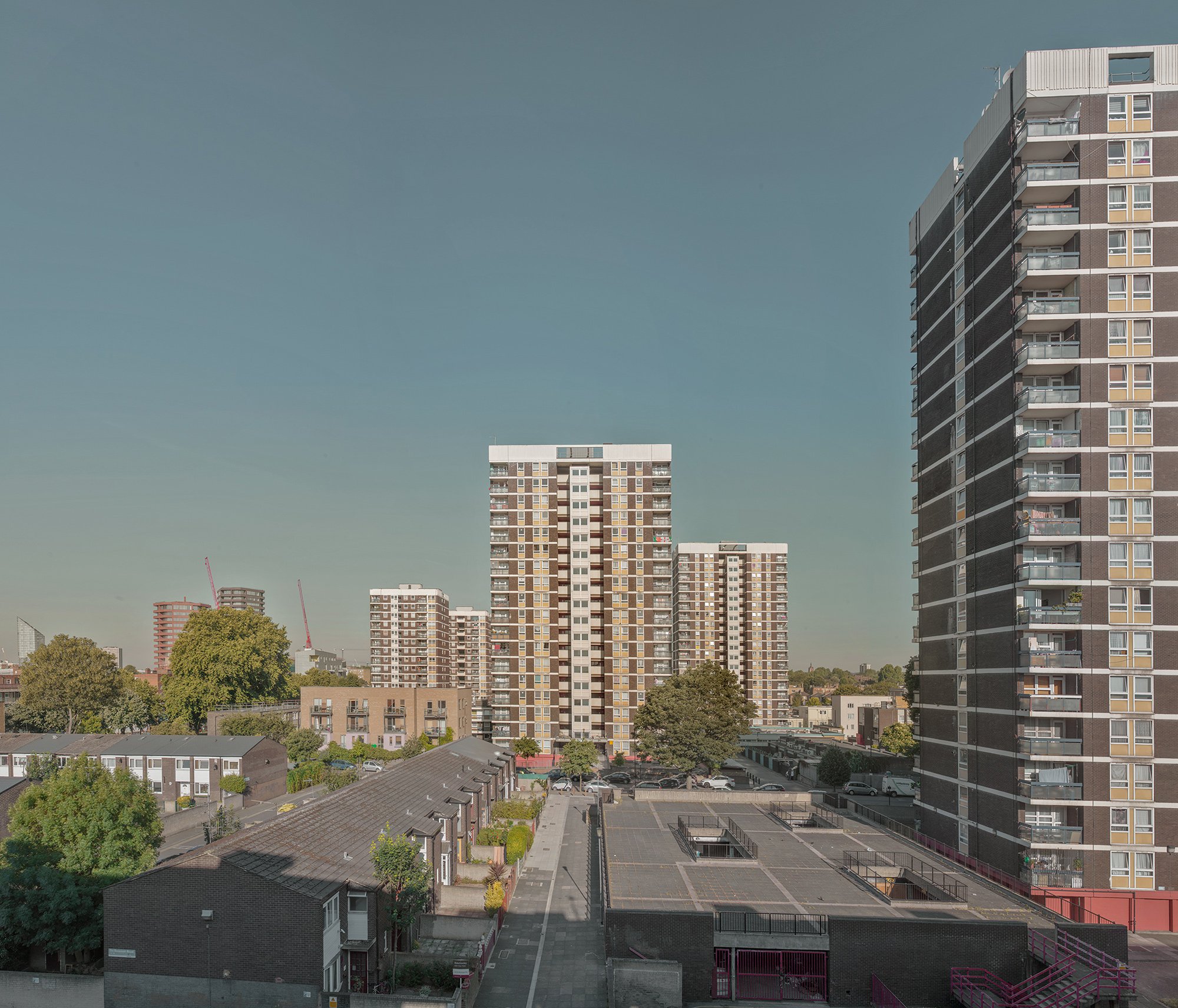 DBeau013.jpg